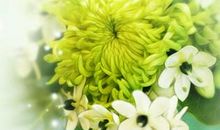 优秀教师节诗歌-老师辛苦了