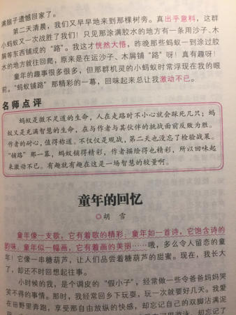 考试中的组成：考试的一天_250字