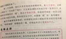 关于考试的作文：考试的一天_250字
