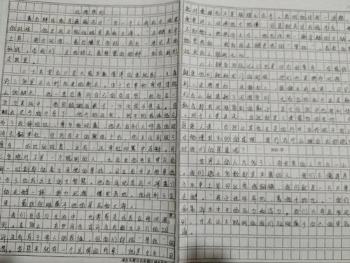 关于考试的组成：两年考试是良好的“同志”_350字