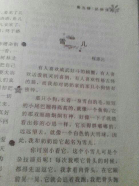 关于考试的组成：考试，让我高兴，让我担心_900字