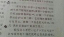 关于考试的作文：考试，让我欢喜让我忧_900字