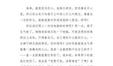 我的网迷姑爹_450字