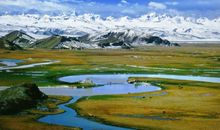 美丽的巴音布鲁克草原_450字