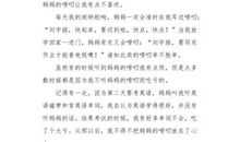 爱打扮的老妈_400字