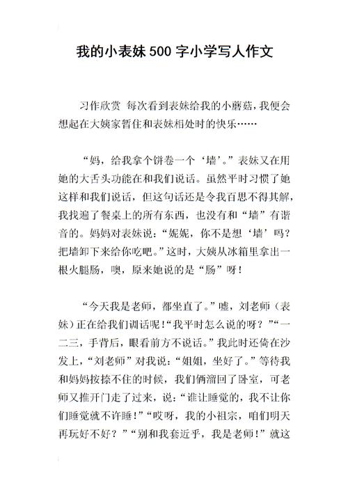 我的小表兄弟_550字