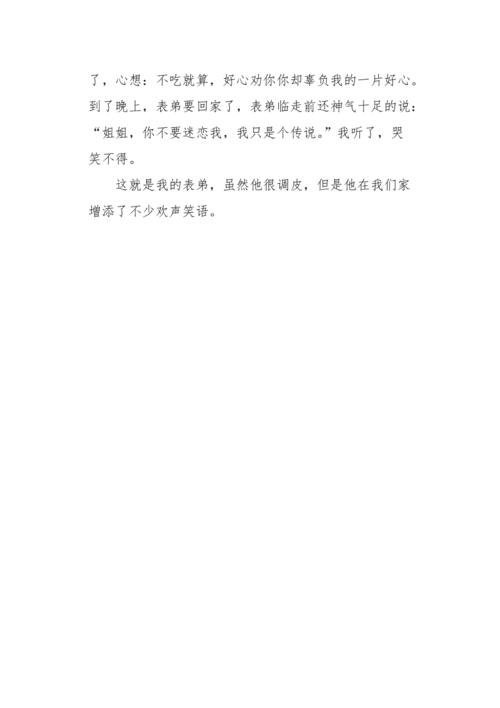 可爱的兄弟_450字