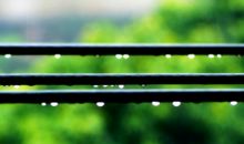 春雨中的遐想_900字