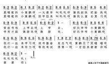 爱唱歌的我_250字