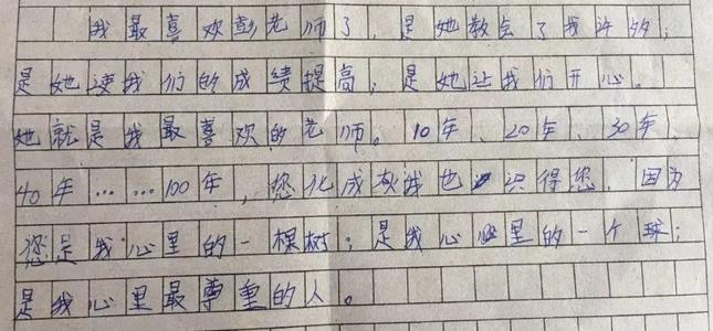 2004年河南学院入学考试优秀成分：你是一个景观_700字
