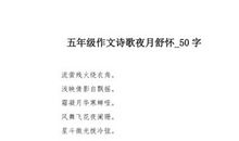 年终抒怀_50字