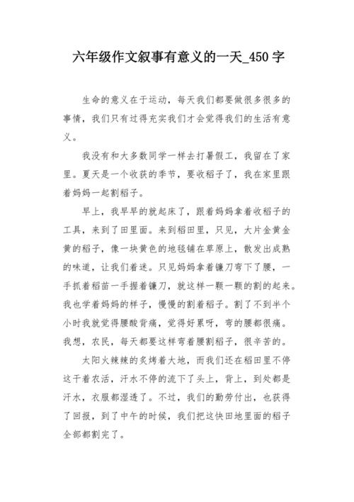 快乐而有意义的暑假_450字