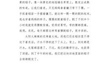 快乐而有意义的暑假_450字