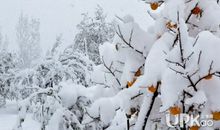 关于雪景的作文：冬天的雪_600字