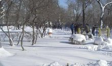 关于雪景的作文：冬天的雪（三）_750字