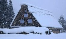 关于雪景的作文：我爱冬天的雪（四）_550字