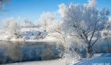 关于雪景的作文：冬天的雪景_800字