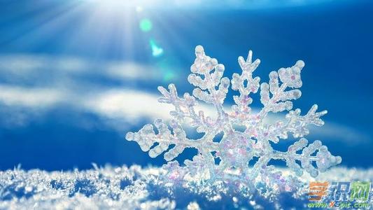 在雪景上的构图：美丽的雪景_600字