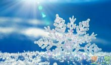 关于雪景的作文：好美的雪景_600字