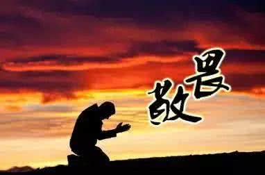 每个人都必须遵守规则_800字