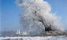 关于雪景的作文：冬天的雪景（四）_500字