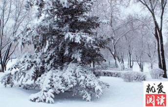 雪景上的组成：雪花_650字
