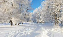 关于雪景的作文：冬天的雪景（三）_400字