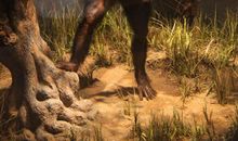 树的生命历程 _500字