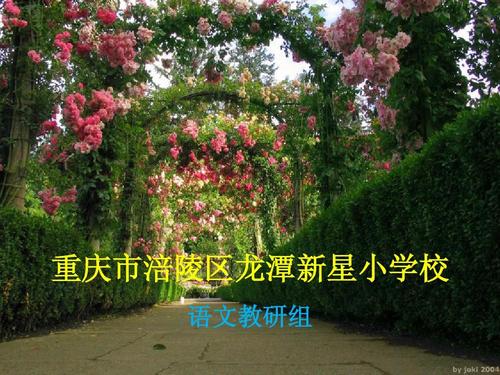 [超级新星小学]谢谢，妈妈_800字
