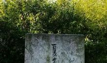 南京，南京！_50字