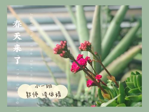 当天，一天中的一天，太阳从分支的间隙中筛分，突然间，刷了几个凉爽的亵渎，树梢摇晃，摆脱阳光，就像一个明亮的脸上的笑容。距离的油菜籽花也散落着甜味。 “食品室有雨，柳树绿色更像是烟雾。”春天就像一个很棒，这个春天更多的是下一级别。整个空气充满了强壮的弹簧，草忍不住呼吸。看着草的鸟儿抓住了她的头，并立即想要这个理论〜
