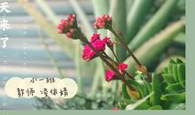 春风拂绿意_700字