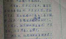 想象作文：十字路口的对话