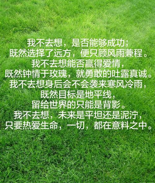 我选择了，我成功了_650字