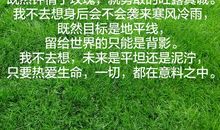 我选择，我成功_650字