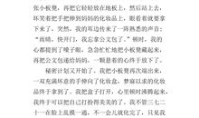 [超级行动]我的秘密计划_800字