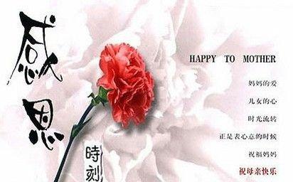 母亲节美丽的句子_2000字