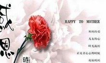 母亲节优美句子_2000字