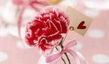 母亲节好段好句：优美的母亲节祝福语_800字