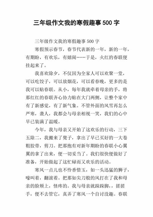 假日计划_500字