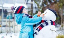 [自然--初一]雪趣_1000字