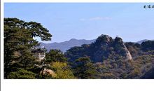 无限风光在险峰_900字