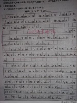 初级三作响：跟踪_700字