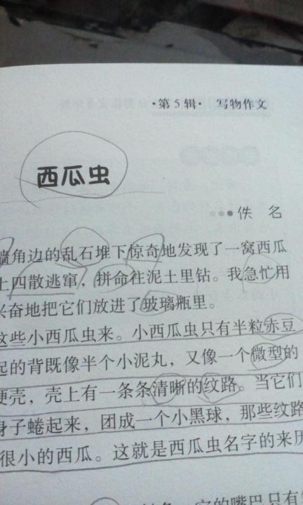 初级三作响：妈妈，我想告诉你_550字