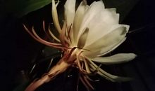 [秋天的童话]弹指一瞬，匆匆十年_700字