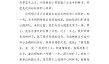 顽皮的小弟_350字