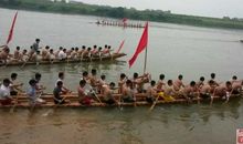 观划龙舟训练_550字