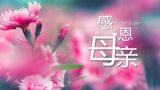 母亲节赫斯刑期选择_ 3000字
