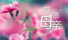 母亲节贺词句子精选_3000字