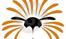 我设计的太阳_300字